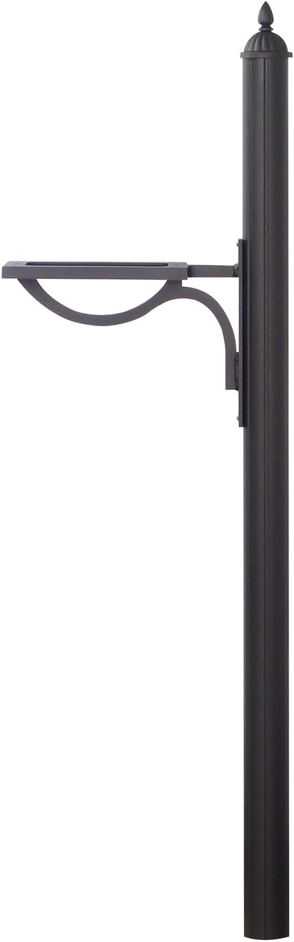 Special Lite Products Hummingbird Curbside Mailbox with Locking Insert and Richland Mailbox Post