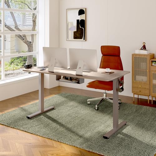 FLEXISPOT EN2 Whole-Piece Standing Desk with Clamp Power Strip, 55 x 28” Electric Stand Up Height Adjustable Desk with Cable Management (Black Frame + 55