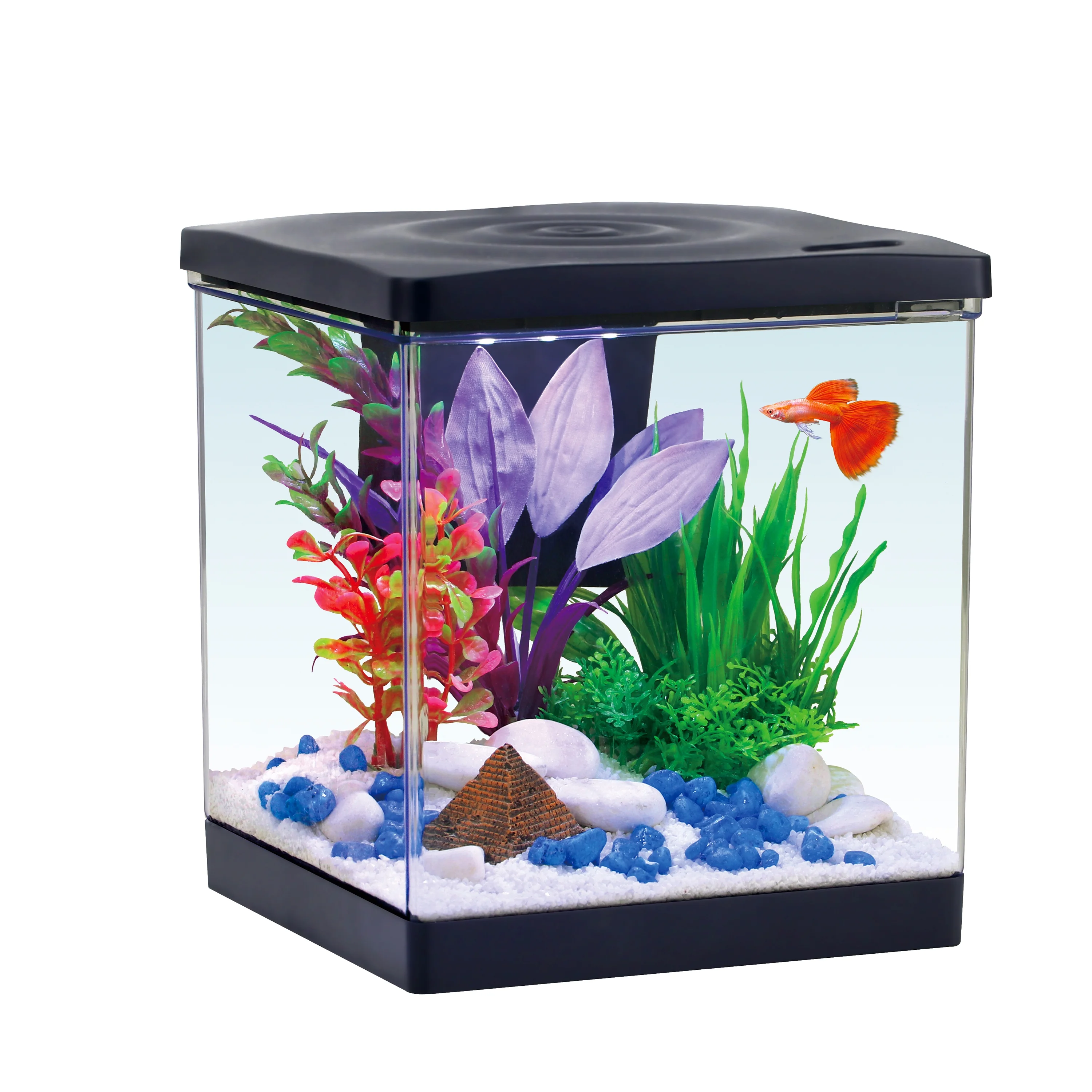 Aqua Culture 1.5G Plastic Tank