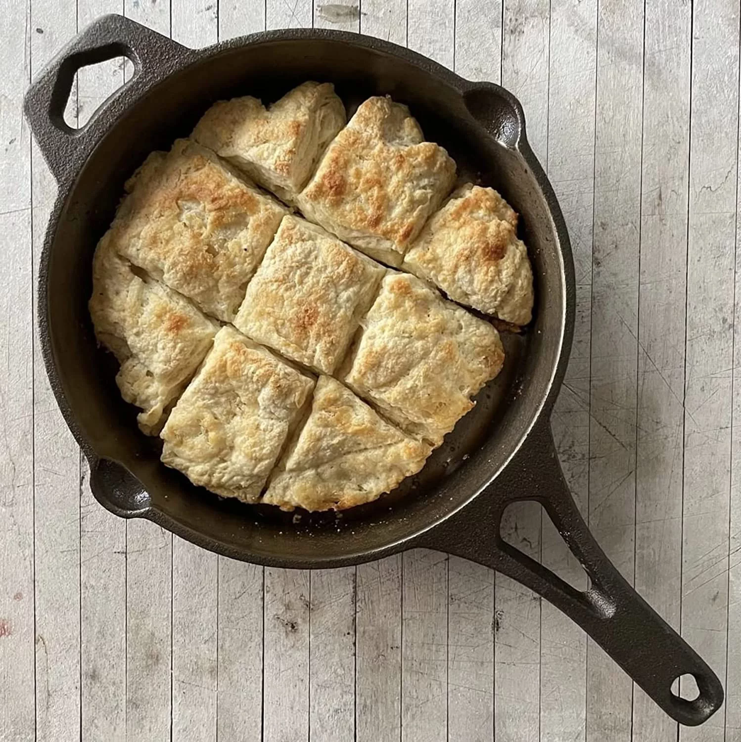 Backcountry Iron 6-1/2 Inch Round Small Pre-Seasoned Cast Iron Skillet