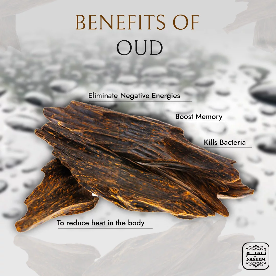 Thaljee Aqua Perfume Arabic Non Alcoholic Fresh Rose Leather Musk Men Parfum by Naseem