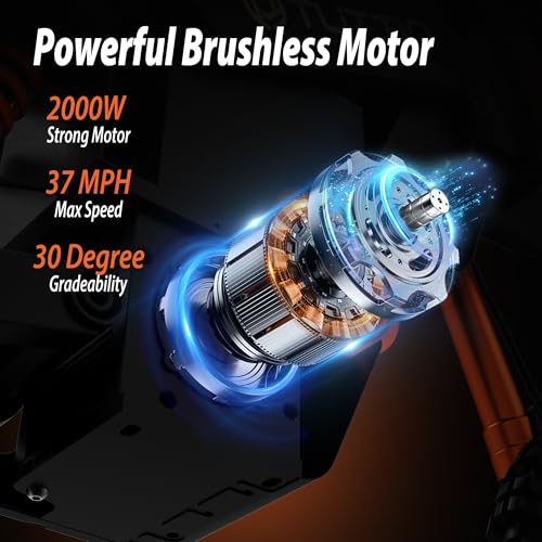 Electric Dirt Bike Teens Adults Electric Bike 48V 21AH Removable Battery with Hydraulic Brakes