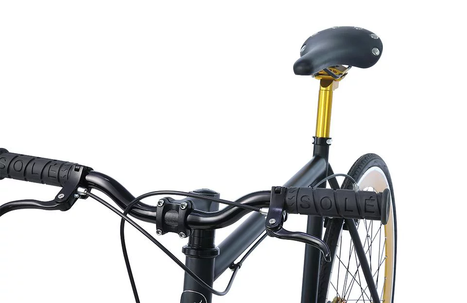 Single Speed Fixed Gear Bicycle by Solé Bicycles- the Micklish