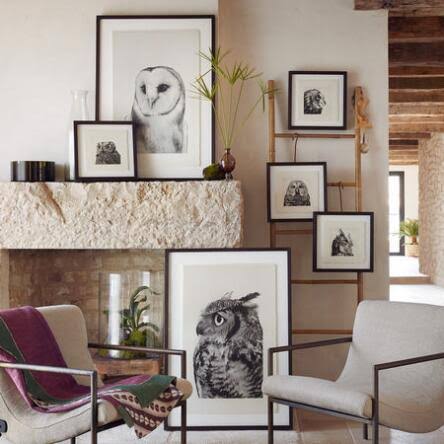 Sundance Catalog Owl Prints Small