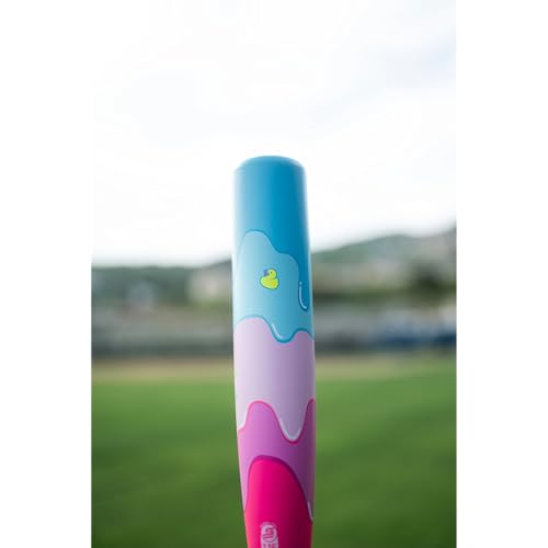 Easton | 2025 | Hype FIRE Baseball Bat | USSSA | -5 / -8 / -10 Drop | 2 3/4