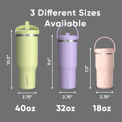 Hydrapeak Nomad 24 oz Tumbler with Handle and Straw Lid, Leakproof, Double Insulated, 24oz Cup Stainless Steel (Blush)