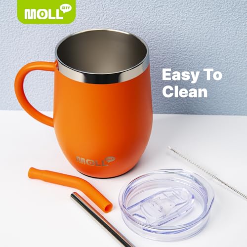 Tumbler with Lid and Straw-12 oz Stainless Steel Double Wall Vacuum Insulated Tumbler Cup with Handle (Canyon Red-Sky Blue)