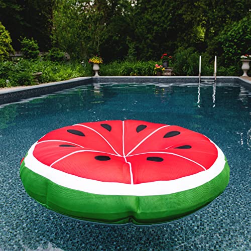 Big Joe Fruit Pool Floats, No Inflation Needed, Quick Draining Fabric, Round Loungers and Pool Noodles