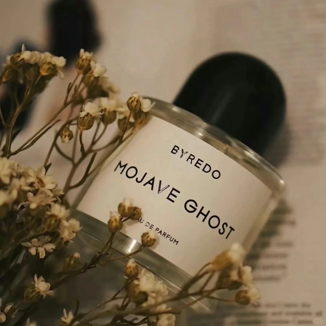 NEW In Box Mojave Ghost By*re_do Eau De Parfum Unisex Fragrance - EDP Spray 3.3 oz/100ml