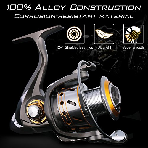 Sougayilang Fishing Reel Spinning -12+1BB Ultralight Smooth Powerful Spinning Reels for Freshwater Saltwater Bass Fishing
