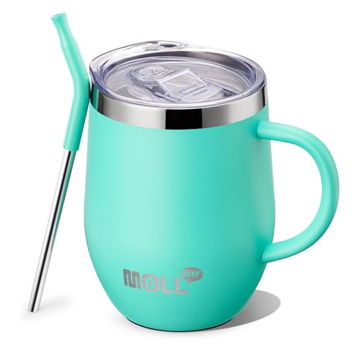 Tumbler with Lid and Straw-12 oz Stainless Steel Double Wall Vacuum Insulated Tumbler Cup with Handle (Canyon Red-Sky Blue)
