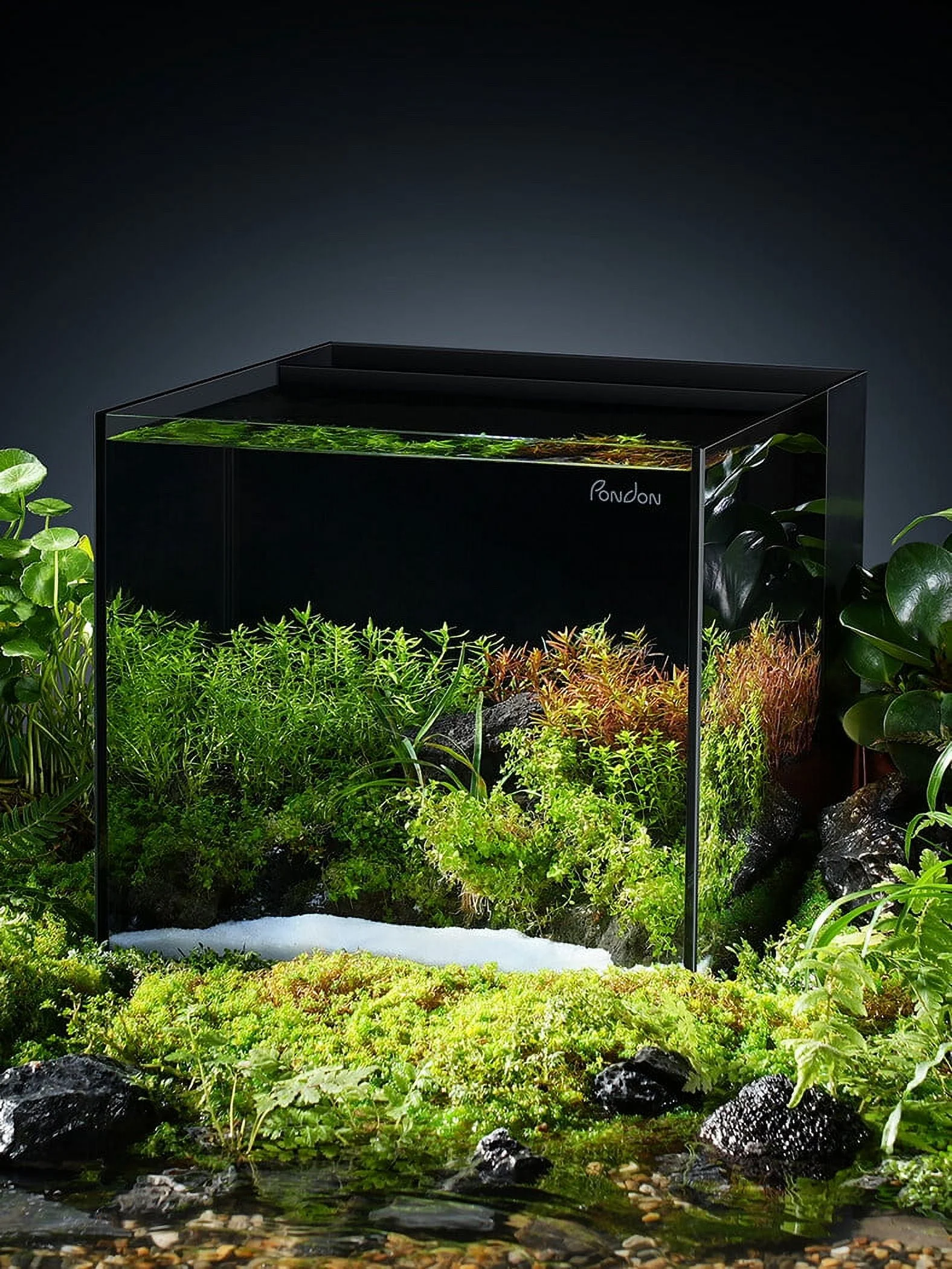 PONDON 5 Gallon Fish Tank, Low Iron Rimless Glass Aquarium Starter Kits with Backpack Partitioned Filtration, No Installation Required Betta Fish Tank with Leveling Mat for Beginners and Enthusiasts