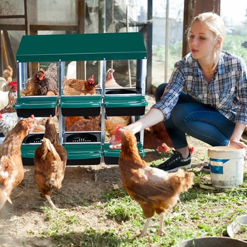 Chicken Nesting Box, 10 Hole 2 Layer Hen Nest Box with Legs, Roll Away Eggs Laying Boxes,Cleanable Pull Out Hen Roosting Boxes