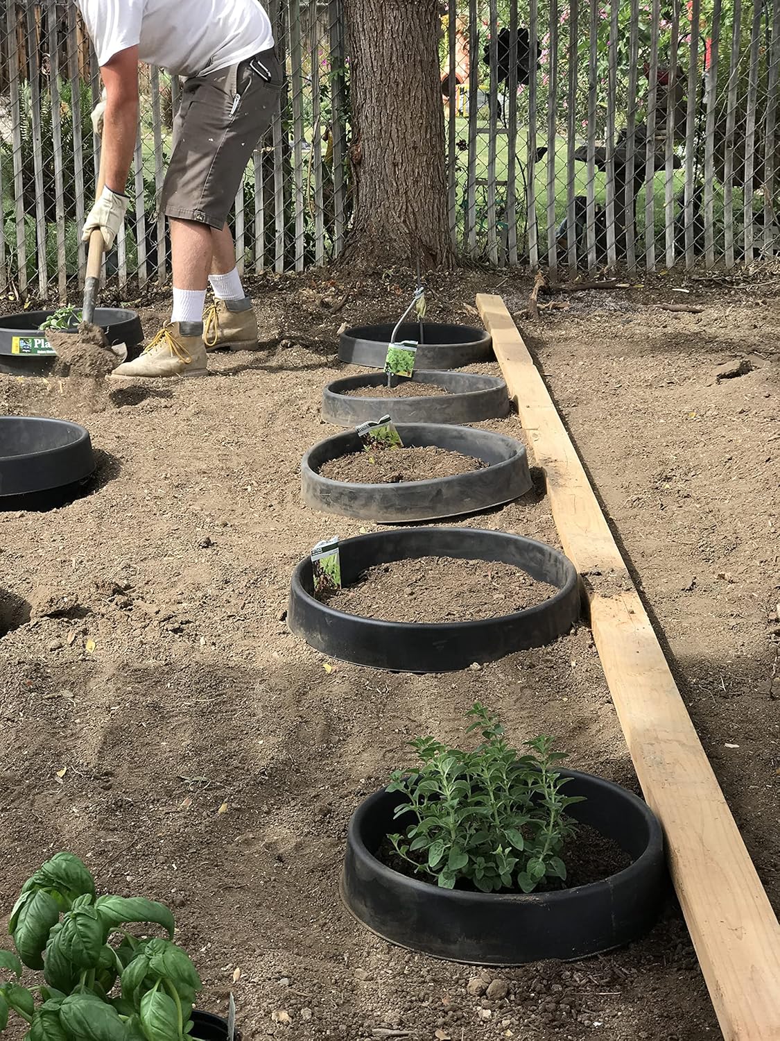 3 Pack of 16 in Planting Rings. Landscape & Garden Protective, Round, Edging. Water Retention to Irrigate Shrubs, Roses, Flowers, Vegetables. Separate Rock, Mulch, Grass. Made in USA