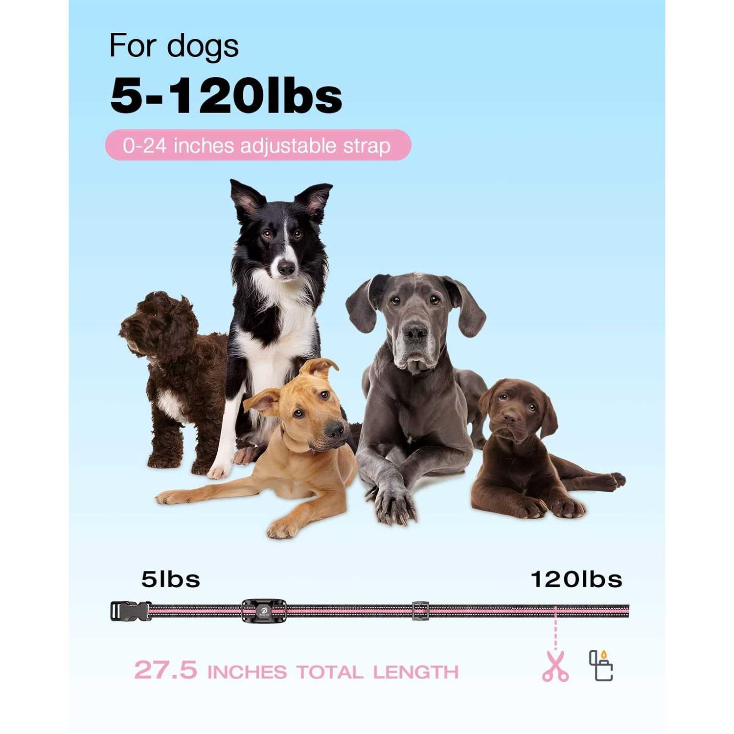 Bousnic Dog Shock collar 3300Ft Dog Training collar with Remote for 5-120lbs Small Medium Large Dogs Rechargeable - Pet Supplies online store