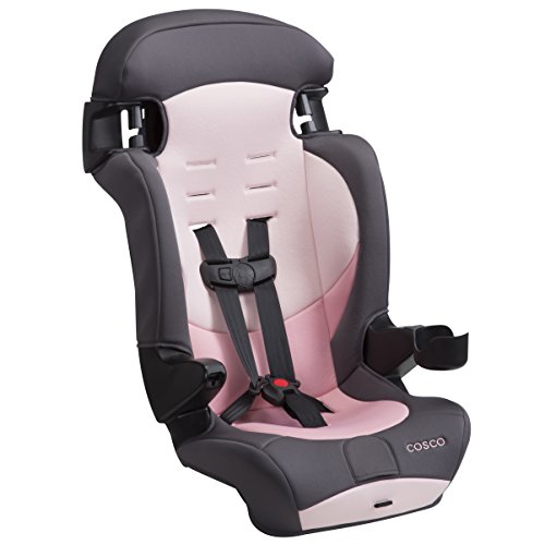 Cosco® Finale DX 2-in-1 Booster Car Seat, Dusk