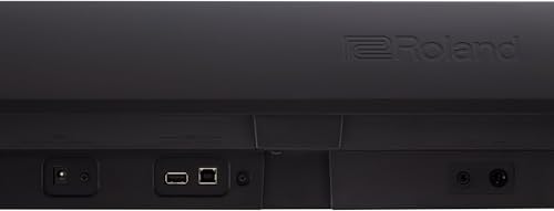 Roland FP-30X 88-Key Digital Piano - Black Bundle with Adjustable Stand, Bench, Sustain Pedal, Online Piano Lessons, Instructional DVD, and Austin Bazaar Polishing Cloth