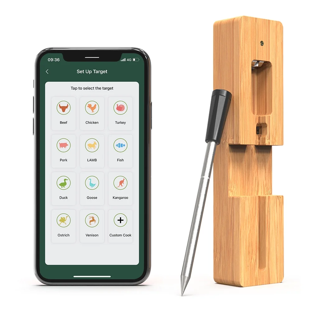 Anself Bluetooth Meat Thermometer, Fast Charging, Smart APP Control, Barbecue Thermometer