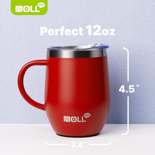 Tumbler with Lid and Straw-12 oz Stainless Steel Double Wall Vacuum Insulated Tumbler Cup with Handle (Canyon Red-Sky Blue)