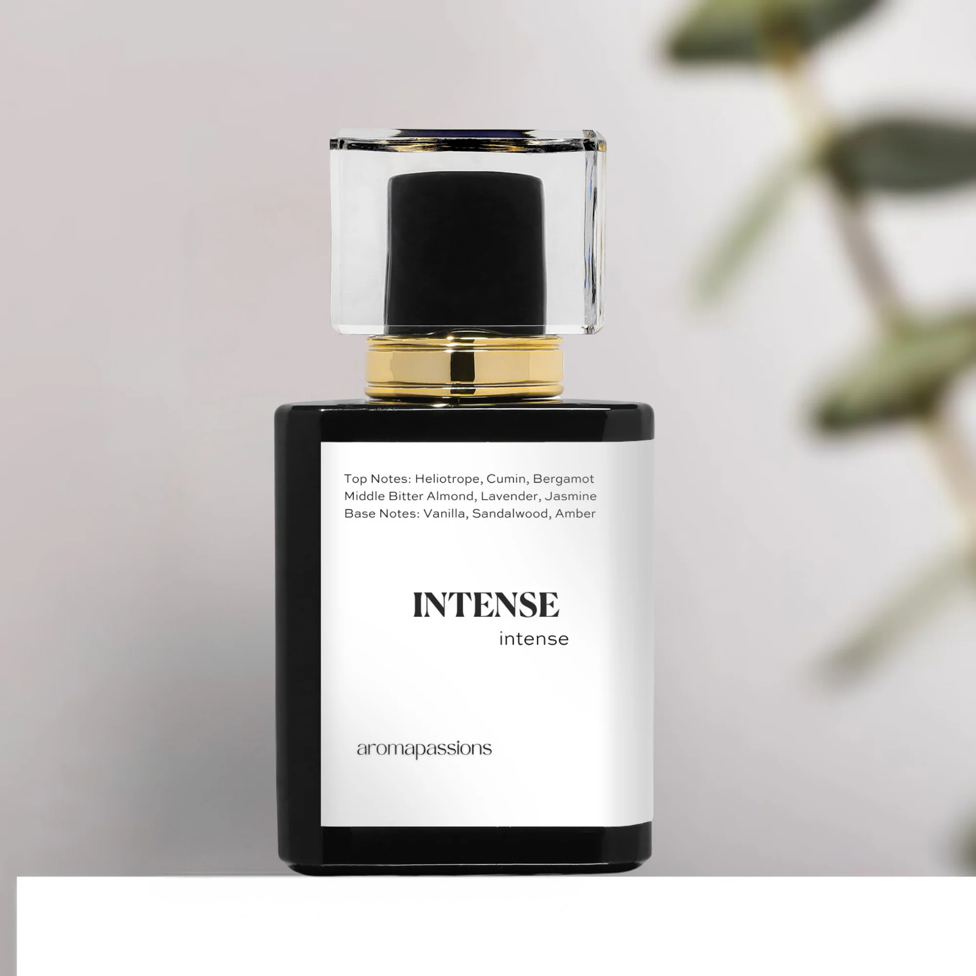 INTENSE | Inspired by Parfums De Marly PEGASUS | Pheromone Perfume for Men | Extrait De Parfum | Long Lasting Dupe Clone Perfume Cologne | Essential Oil Fragrance | Perfume De Hombre