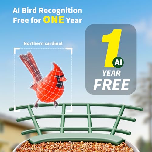 Bird Feeder with Camera, 1 Year Trial AI Identify, Birds Watching Camera with 4 DIY Add-ons, Smart Birds Cam with Solar Panel for Outdoor, Auto Record Videos, Gift for Bird Lover