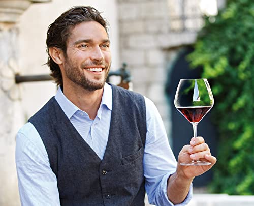 Riedel Heart to Heart Cabernet Sauvignon Glasses, Set of 2, Clear, 28-1/4-Oz -