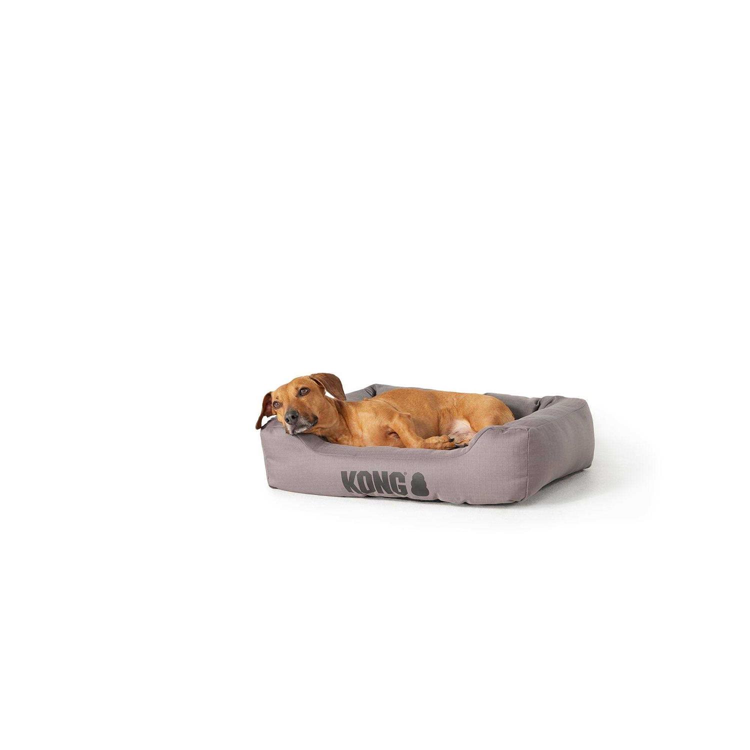 Kong 4-Sided Cuddler Dog Bed - Pet Supplies online store