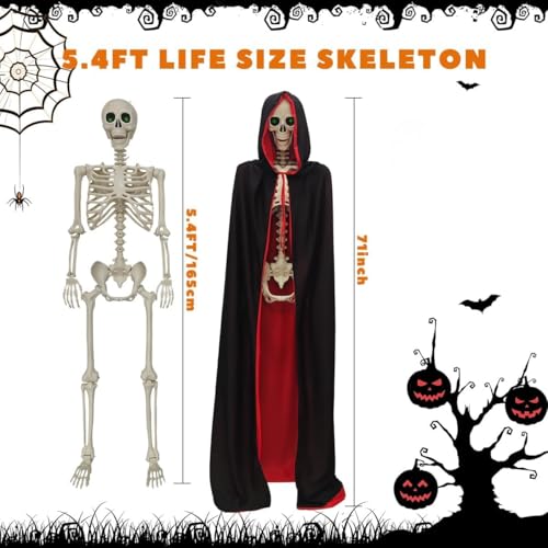 5.4FT Halloween Full Body Skeleton Decorations with Glowing Eyes, Life Size Skeleton with Movable Joints for Halloween Decorations Indoor/Outdoor Haunted Houses