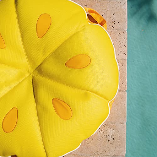 Big Joe Fruit Pool Floats, No Inflation Needed, Quick Draining Fabric, Round Loungers and Pool Noodles