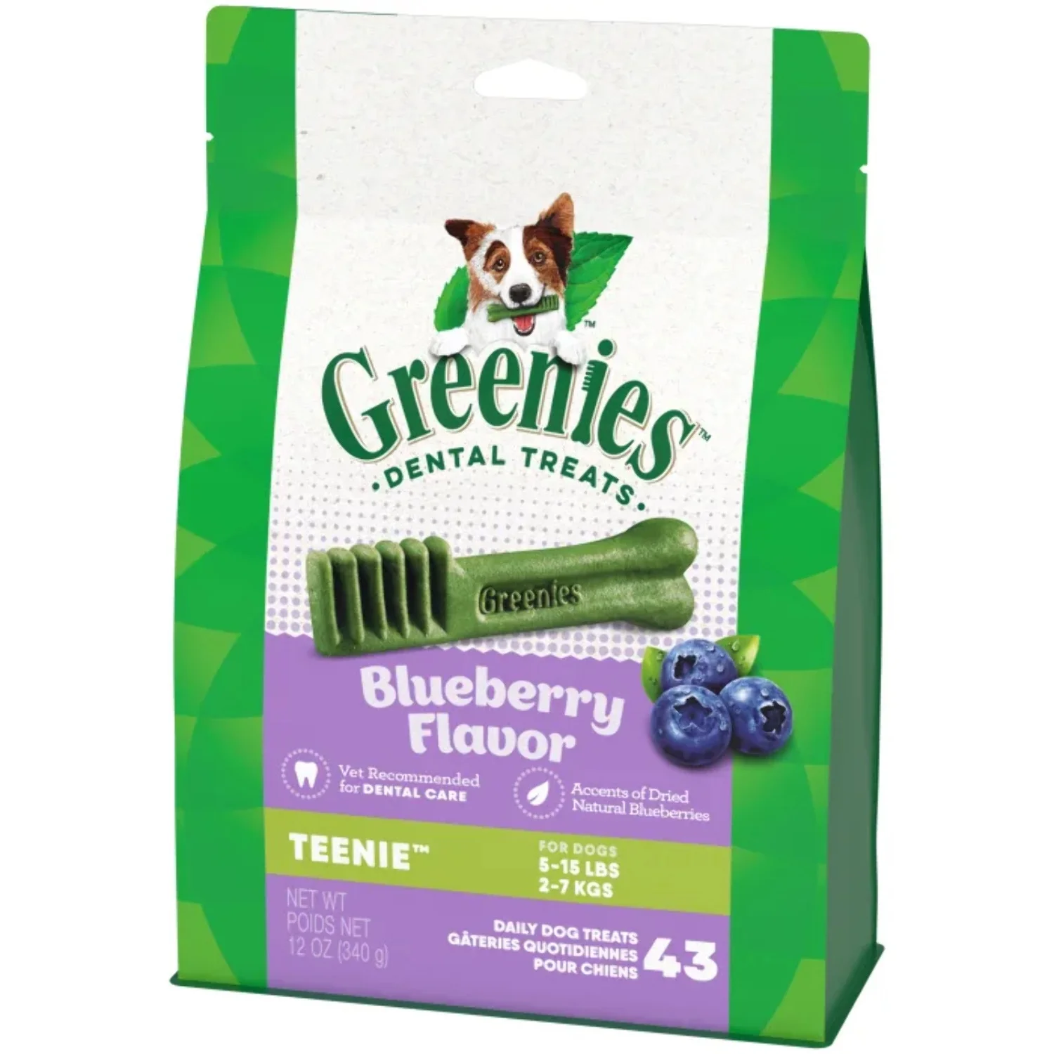 Greenies Blueberry Flavor Dental Treats for Dogs, 12 oz Pouch