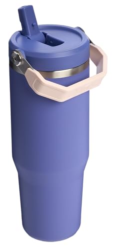 Stanley IceFlow Flip Straw Tumbler with Handle 30 oz | Twist On Lid and Flip Up Straw | Leak Resistant Water Bottle | Insulated Stainless Steel |BPA-Free | Lilac