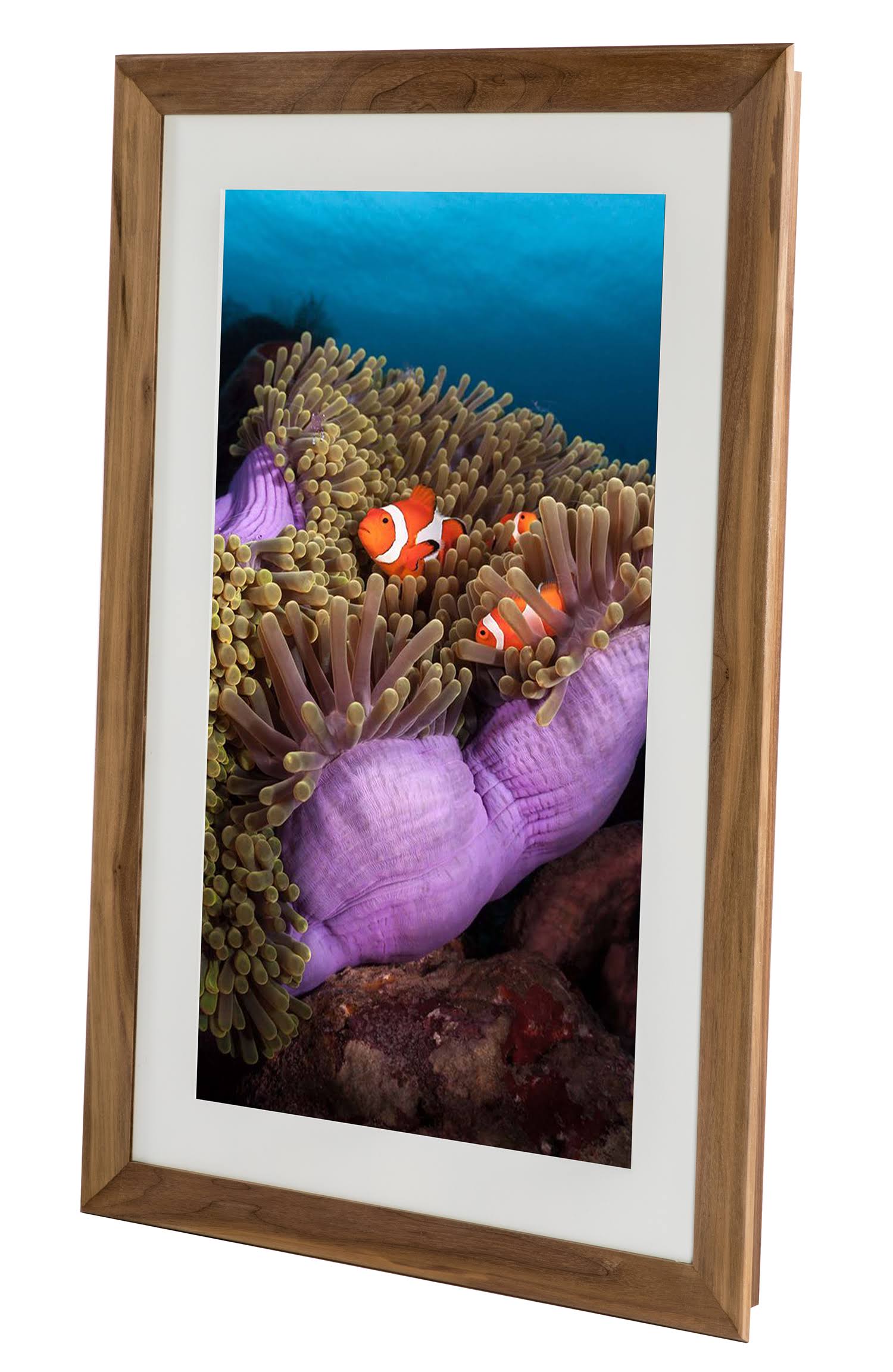 Meural Canvas Winslow - Digital photo frame - 27 in