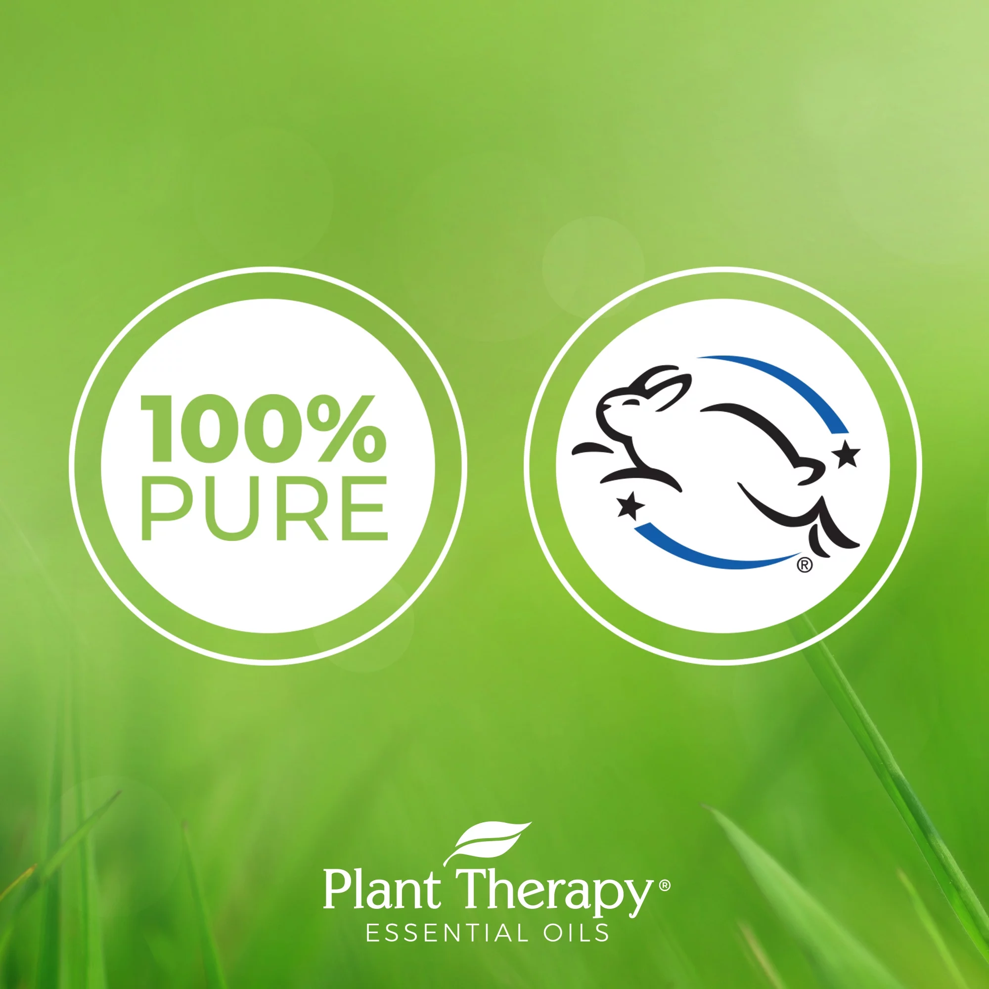 Plant Therapy Essential Oils 7 & 7 Set - 7 Single Oils & 7 Blends 10 mL (1/3 oz)