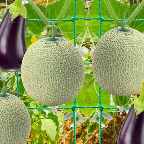 Garden Trellis Netting, Garden Lattice net, Reinforced Vine Net, Soft Trellis Netting Roll Garden Plant Support, Garden Planting Network, Climbing Vining Plants