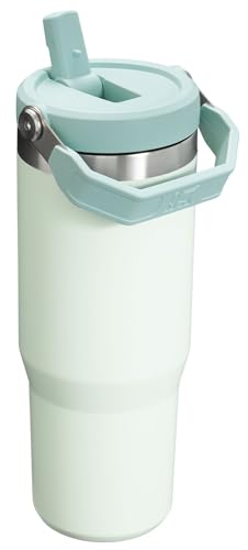 Stanley IceFlow Flip Straw Tumbler with Handle 30 oz | Twist On Lid and Flip Up Straw | Leak Resistant Water Bottle | Insulated Stainless Steel |BPA-Free | Lilac