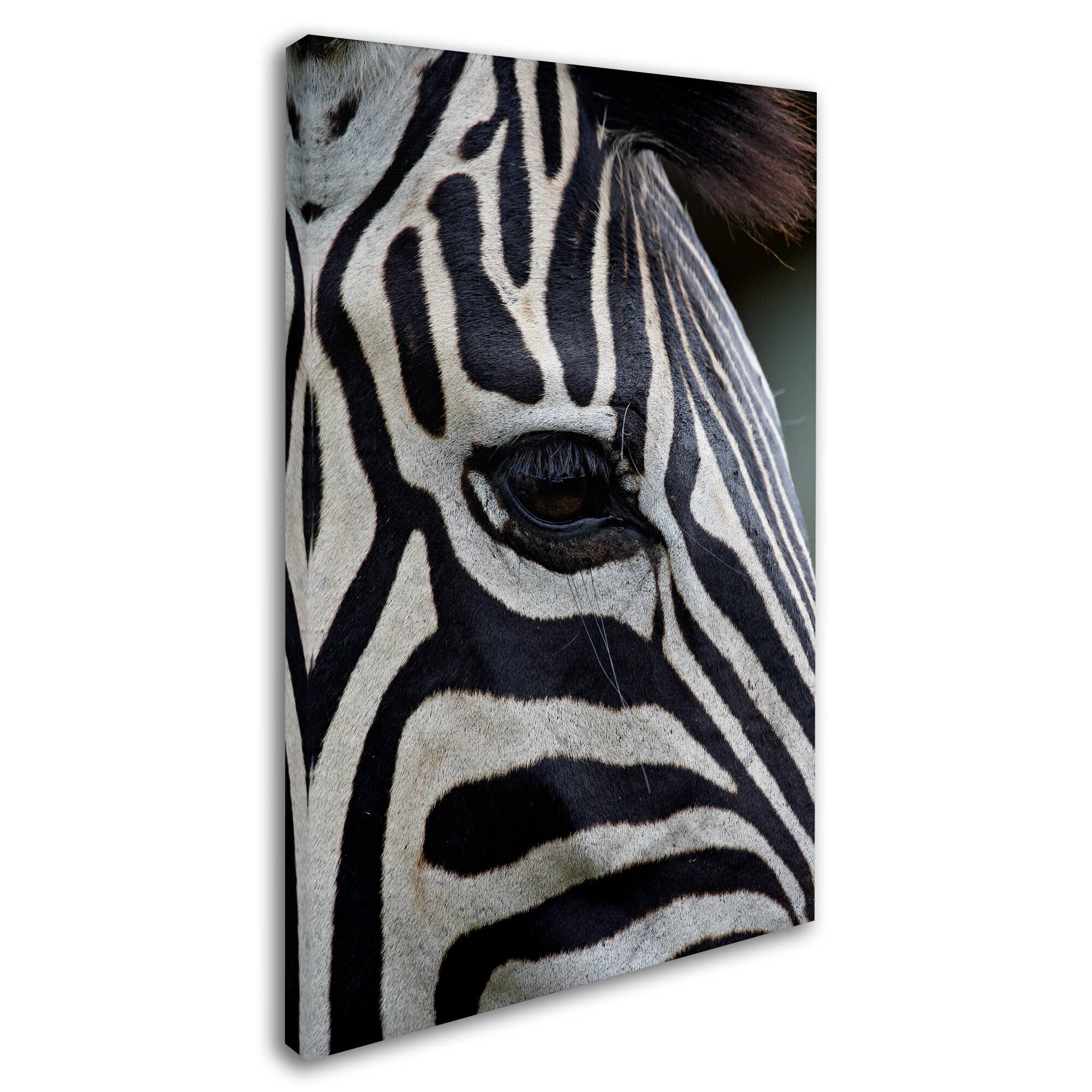 Robert Harding Picture Library 'Zebras' Canvas Art ALI19174-C