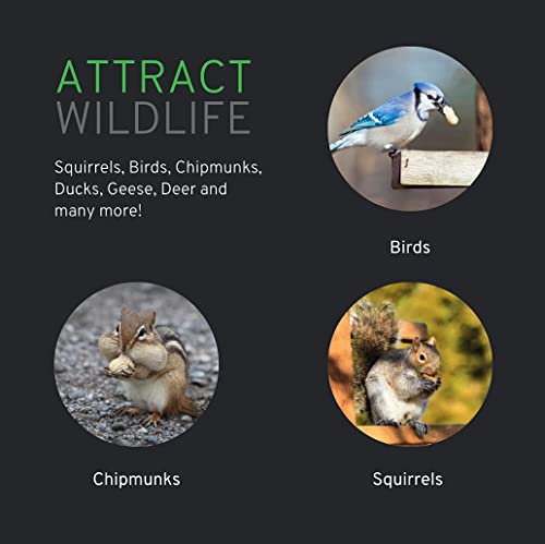 Wakefield Virginia Peanuts Extra Large for Animals