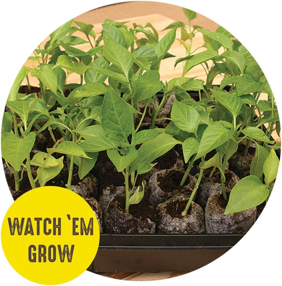 Jiffy 42mm Seed Starting Greenhouse Kit with 25 Biodegradable Expanding Peat Pellets