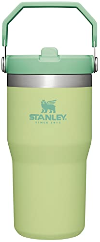 Stanley IceFlow Flip Straw Tumbler with Handle 30 oz | Twist On Lid and Flip Up Straw | Leak Resistant Water Bottle | Insulated Stainless Steel |BPA-Free | Lilac
