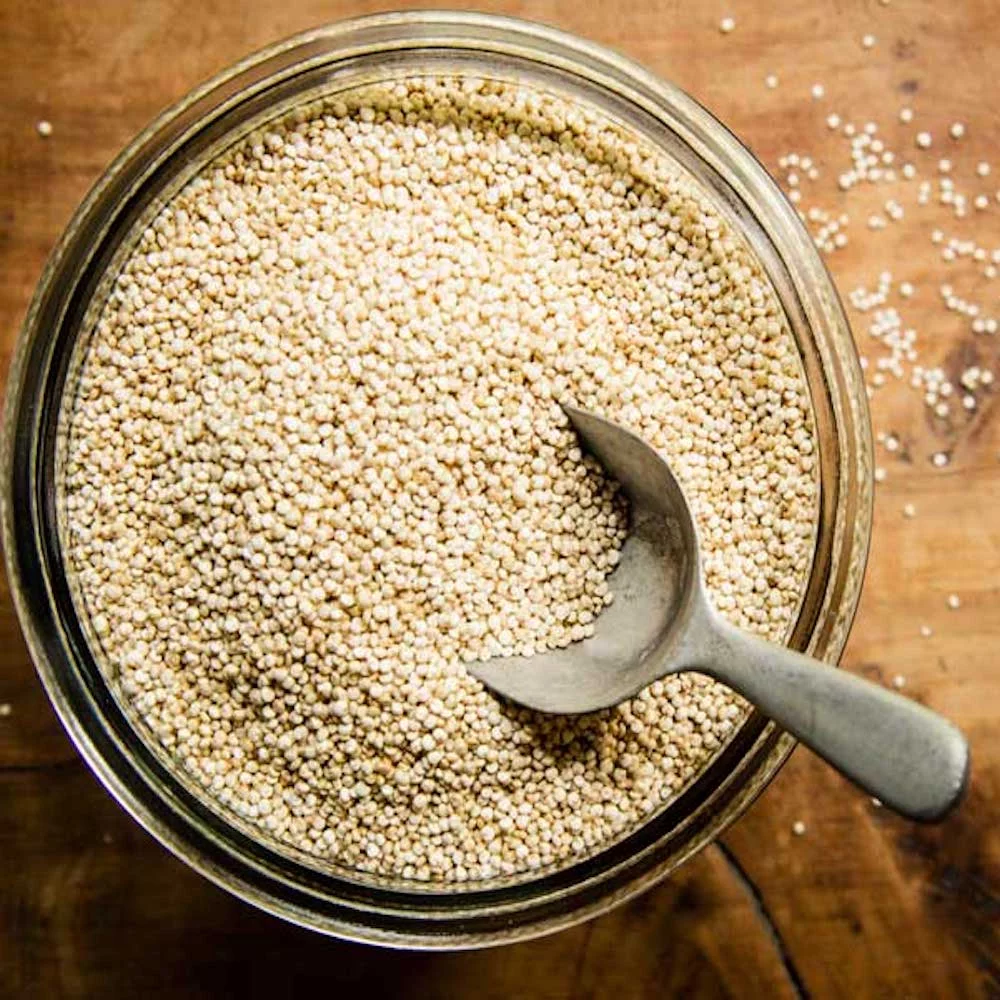 Bulk White Quinoa Seeds 25 Pound Wholesale Box