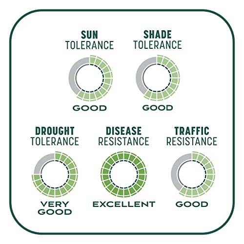 Pennington Smart Seed Sun and Shade Grass Mix 7 lb