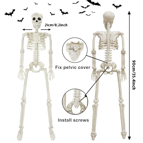 CAMIRUS 5.4ft/165cm Halloween Skeleton, Life Size Skeleton with Hairy Spider Pumpkin Bag, Full Body Human Bones with Movable Joints for Halloween Indoor Outdoor Haunted House Decorations