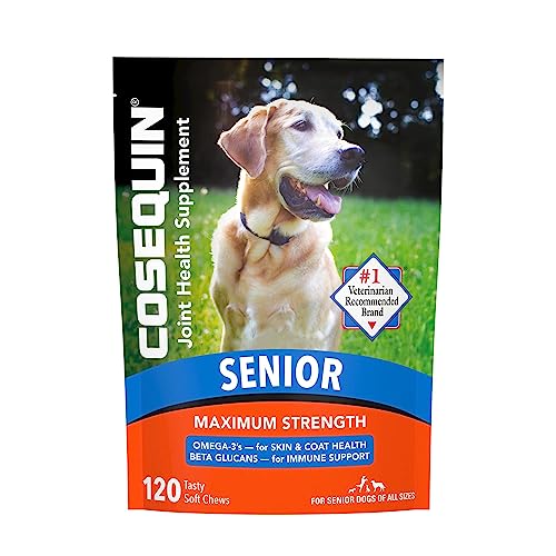 Cosequin Senior Joint Health Supplement for Senior Dogs - With Glucosamine, Chondroitin, Omega-3 for Skin and Coat Health and Beta Glucans for Immune Support, 60 Soft Chews