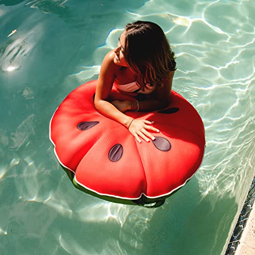 Big Joe Fruit Pool Floats, No Inflation Needed, Quick Draining Fabric, Round Loungers and Pool Noodles