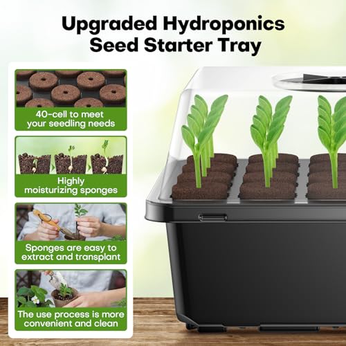 Ahopegarden Seed Starter Tray with 40 Grow Sponges, 40 Cells Reusable Plant Germination Trays Greenhouse Germination Kit with Humidity Dome for Hydroponics Growing System Kit Seeds Growing, 2 Packs