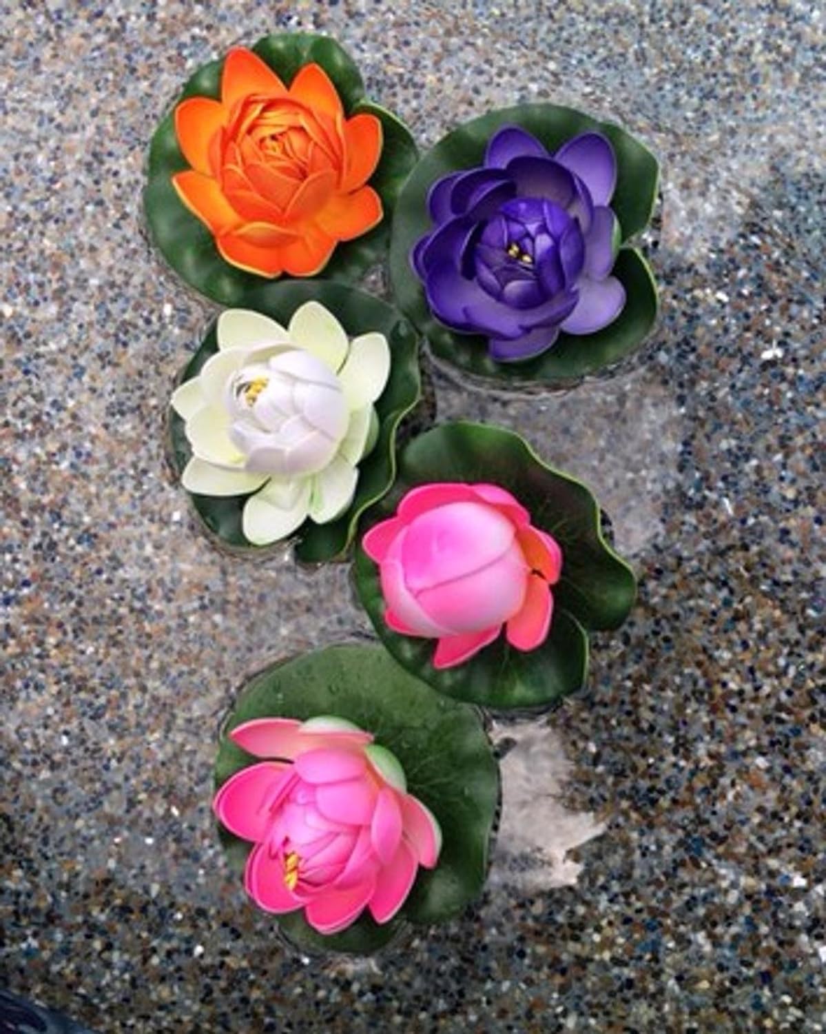 Smiley Scapes Water Garden FOUTAIN KOI Pond KIT Liner & Pump 9' X 6' Liner & 5 Water Lilies