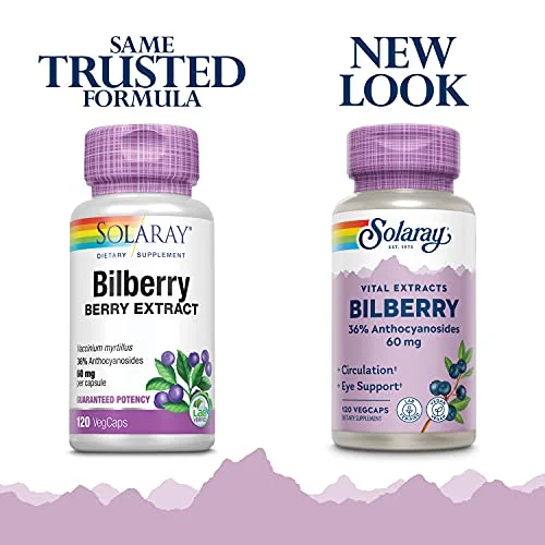 SOLARAY Bilberry Berry Extract 60 mg Per Capsule, Powerful Antioxidant, Guaranteed Potency for Healthy Vision & Circulation Support 120 VegCaps