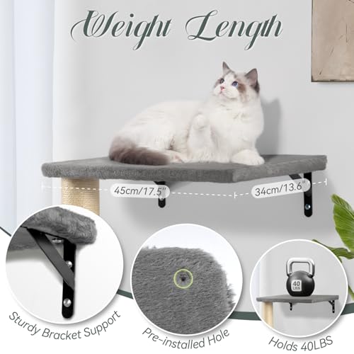 NUNU LAB 5-in-1 Wall-Mounted Cat Climber Set, Cats Wall Shelve, Wall-Mounted Cat Climbing Shelves, with House, Bridge, Steps, Scratcher, Hammock, Shelves (A-KM060)