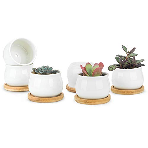 T4U Mini Succulent Pots White with Bamboo Trays - Ceramic Succulent Planters Indoor Jars with Drainage -Small Plant Cactus Holder Container Set of 6 - Home Office Desk Decoration Gift for Gardener