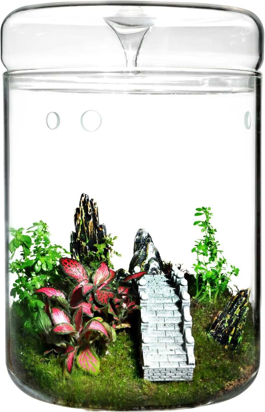 Glass Plant Terrarium – 4.7 x 7 in Small Glass Terrarium for Plants – Plant Vase Succulent Planter for Home Garden, Tabletop Decor – Small Glass Planter with Lid – Self-Sustaining Plant Ecosystem